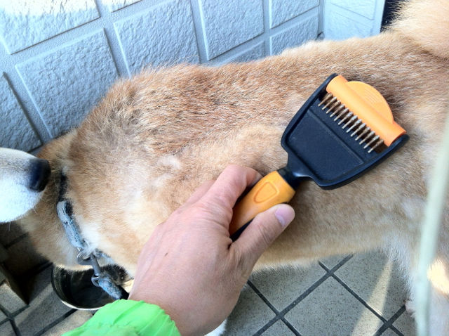 こてつとこす1