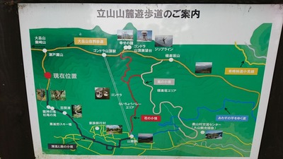 1497761161578