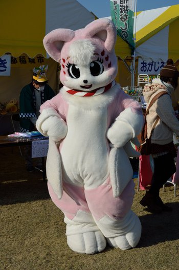 news_1475111391_1102