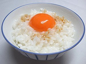 ながお食研(食品サンプル) おいしそうな卵がぽんと乗った、シンプルだけど懐かしいご飯