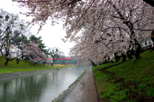 IMGP3473