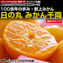 千両