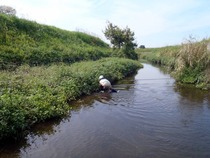 PA080742