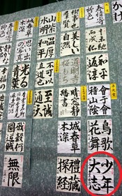 IMGP6732_