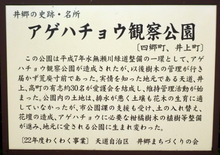 P1270742