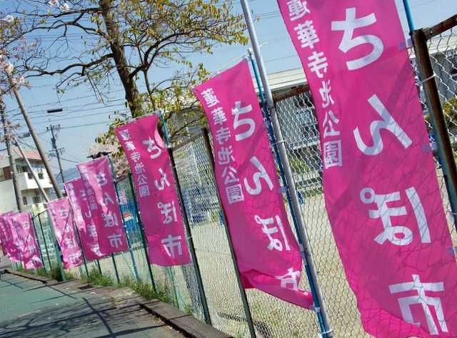 ぢるそば ざるそば 漂えど沈まず