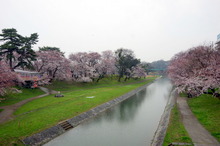 IMGP3425