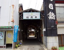 IMGP0726