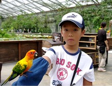 花鳥園5