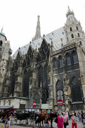 IMGP7369
