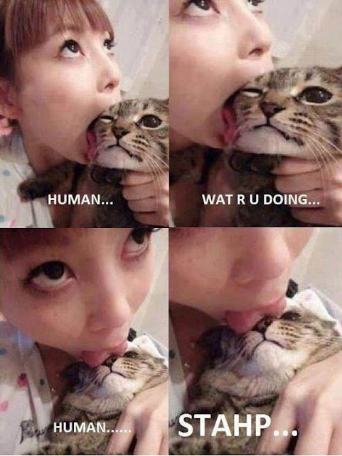 +It+s+funny+because+asian_50755f_4079265