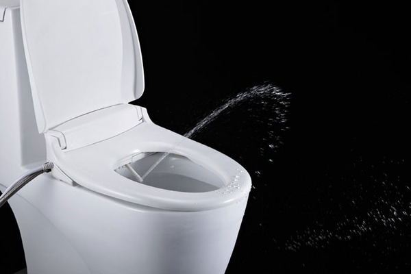 toto-toilet-seat-bidet