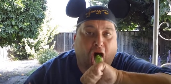 WASABI2