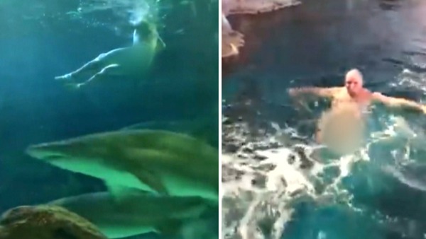 101618_man_swims_naked_sharks_web_0