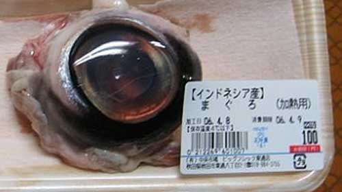 Tuna-Eyeball