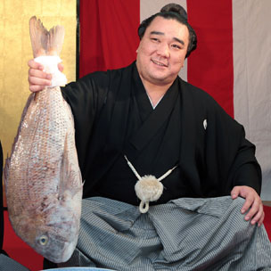 sumo_fish