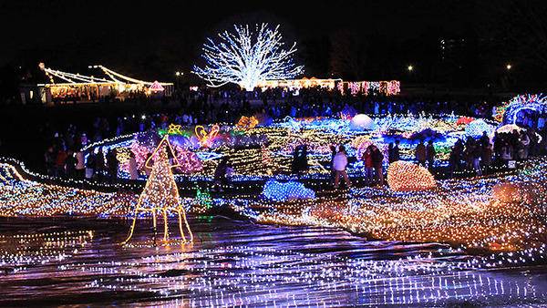 christmas_lights_tokyo_704