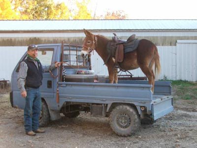 mini_truck_donkey