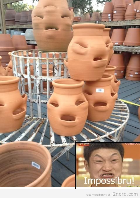 impossibru-pot