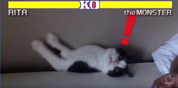 LIO4