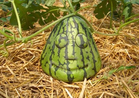 watermelon