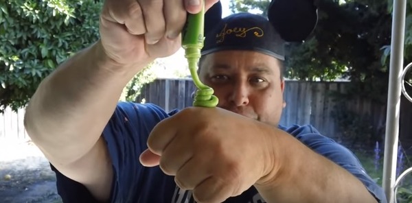 WASABI