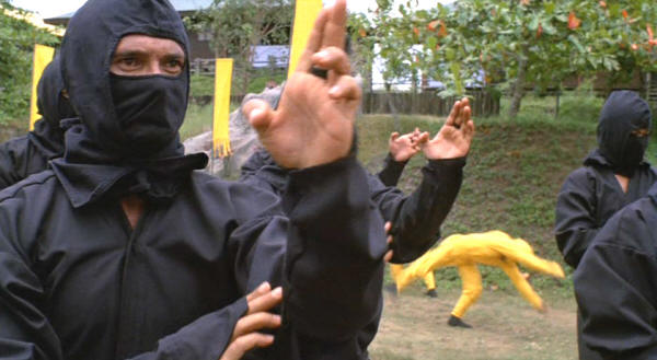 Ninja_Training