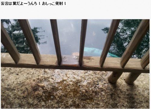 YASUKUNI3