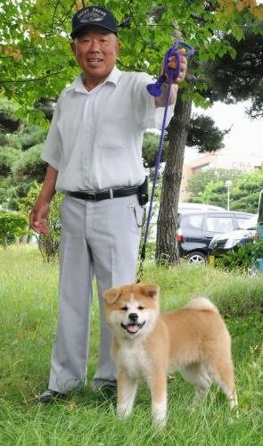 YUME
