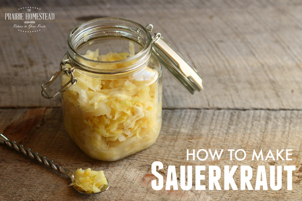 homemade-sauerkraut-recipe1