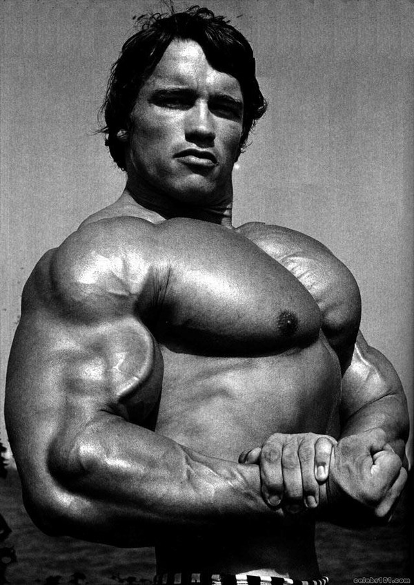 arnold-schwarzenegger2