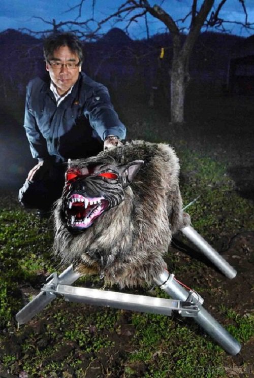 Super-Robot-Wolf2