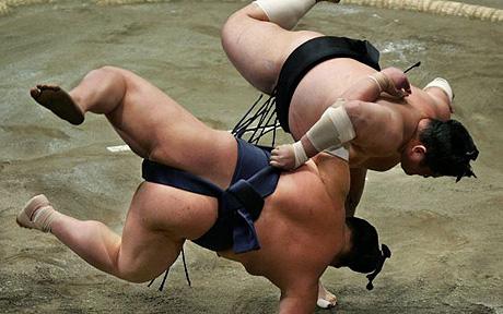 sumo_1289340c