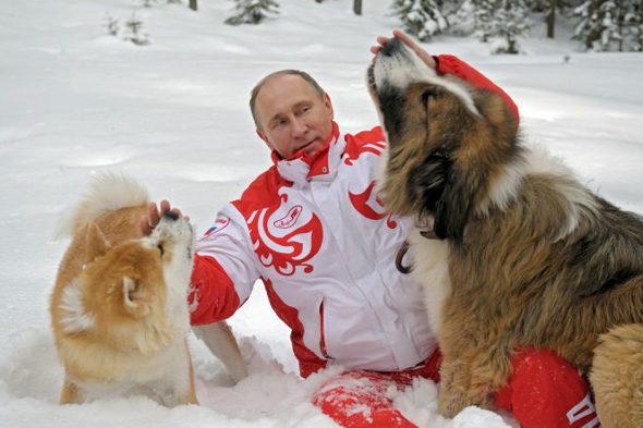 ちなみにプーチン大統領に贈られる前の小さい時の「ゆめ」はこちら↓ 大きくなりましたね^^