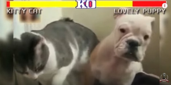 AAw