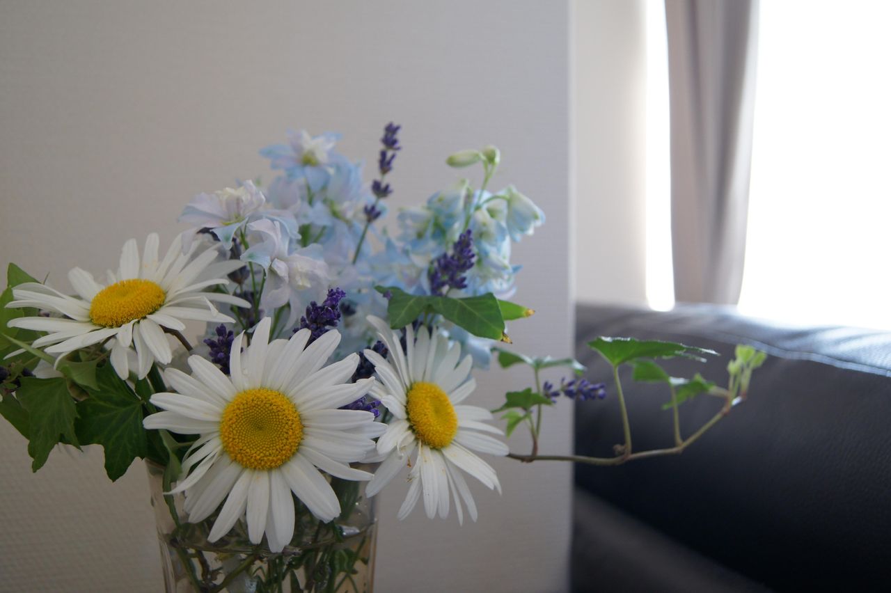 花を生ける デルフィニウム シャスターデージー ラベンダー 花屋 ホワイトキャメル