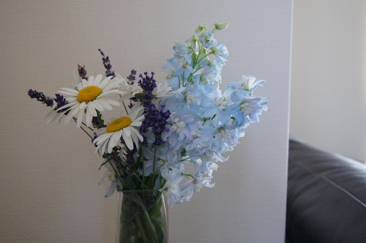 花を生ける デルフィニウム シャスターデージー ラベンダー 花屋 ホワイトキャメル