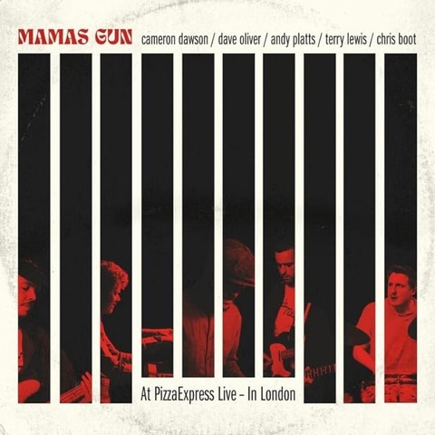 Mamas Gun