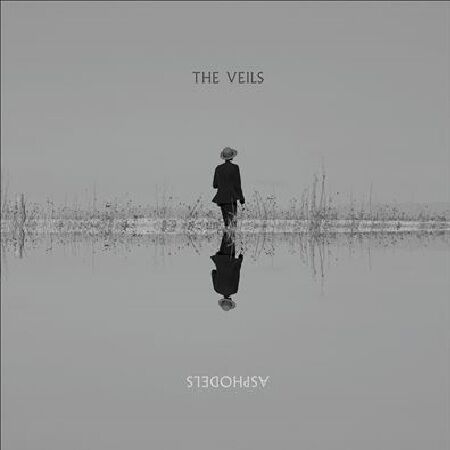 The Veils
