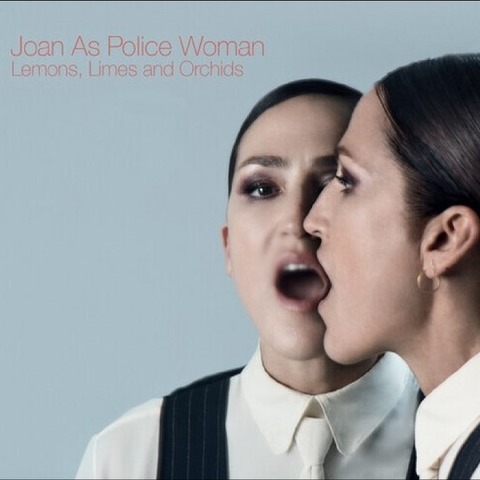 Joan As Police Woman