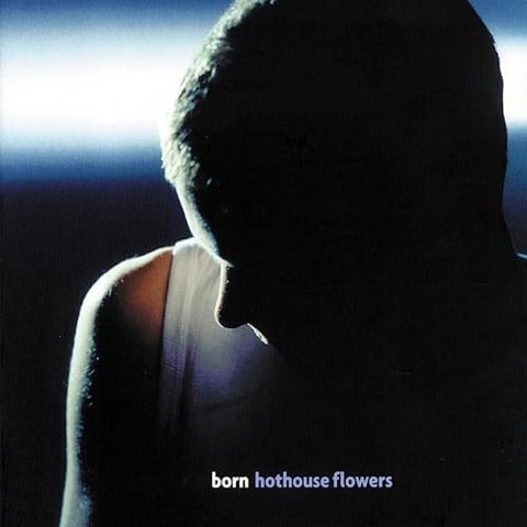 Hothouse Flowers