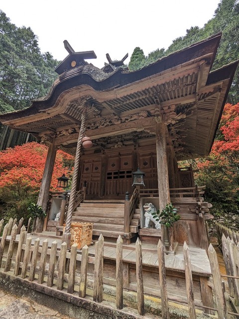 本殿5
