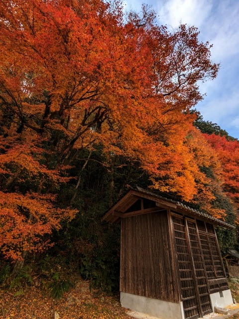 07.神輿蔵2