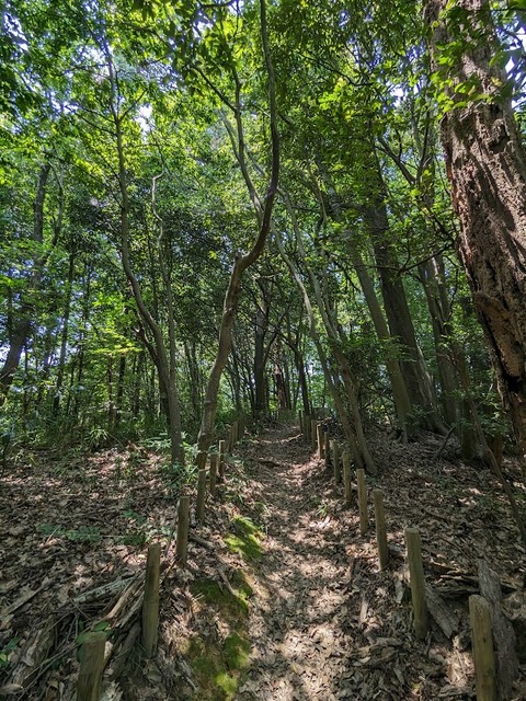 貝吹岩2