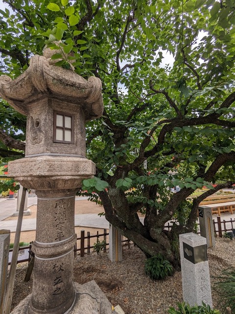 灯篭