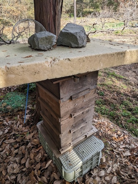 73.巣箱かな?