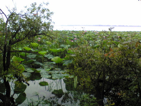 Image008