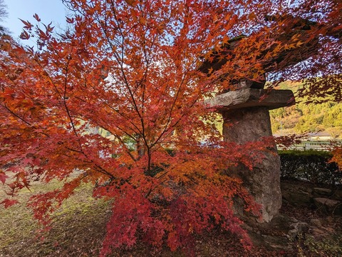 01.佐地神社3