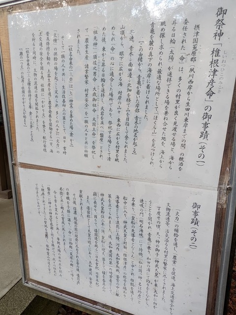 椎根津彦について