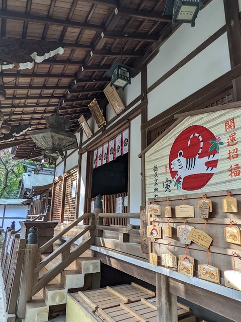 拝殿5